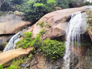 unnamed - 2025-09-23T125018.208