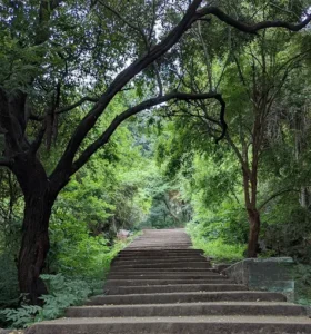 unnamed - 2025-09-23T125026.226