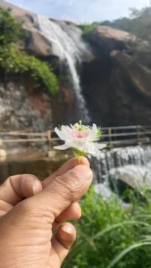 unnamed - 2025-09-23T125153.837